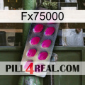 Fx75000 09